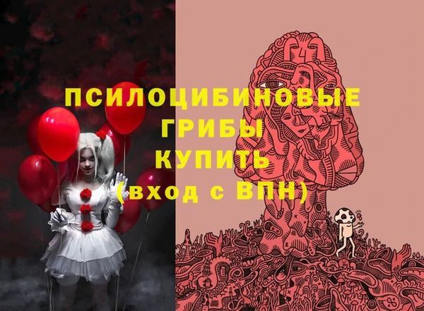 ALPHA PVP Каменка