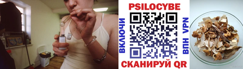 Купить  Кедровый  Галлюциногенные грибы GOLDEN TEACHER 